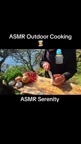 Outdoor Cooking Session #asmr #unintentionalasmr #cooking #Outdoors #nature #outdoorcooking 