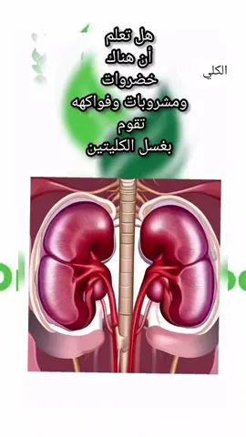 هل تعلم ان هناك  اطعمه ومشروبات وفواكه يمكن تناولها يوميا تقوم بغسل الكليتين #اكسبلور #الخضروات #الكلي #الاكل #الصحي #صحة_الكلي #أكل_صحي #اكل_بيتي #نصائح_صحية #ريلز_مصر #ريلز_انستا #ريل #ريلز_explor #الشعب_الصيني_ماله_حل😂😂  #الشعب_الصيني_ماله_حل😂😂 