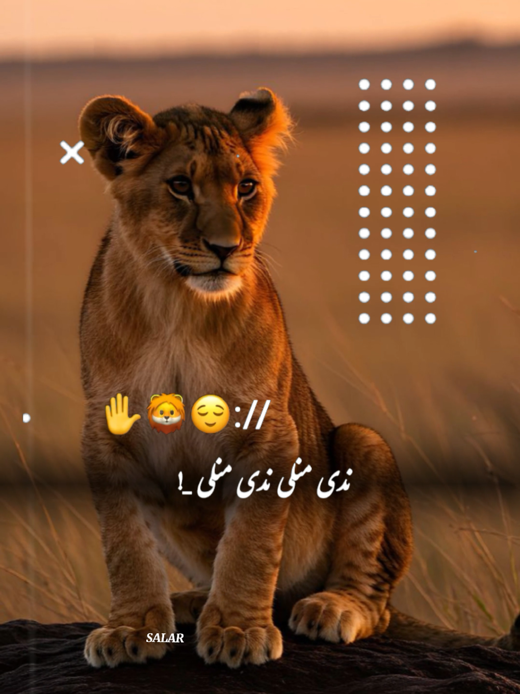 #CapCut هو قربان ❤✋#تمپلیت♥️_جدید #تمپلیت_جدید #رپ #پشتو #رپ_فارسی #اهنگ_افغانی #اهنگ_پشتو #اهنگ_عاشقانه #creatorsearchinsights #oo__3salar_afg 