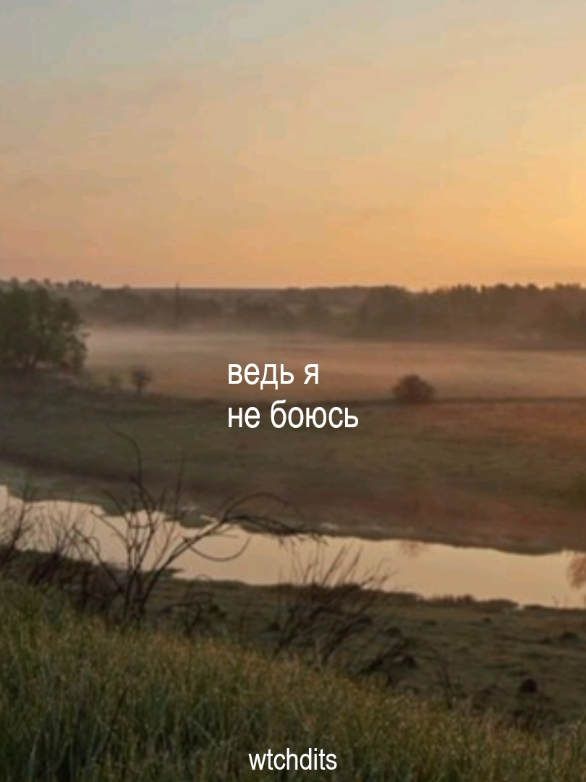 ♫: на утро по лесной дороге — олег анофриев ; песню можно скачать в тгк: wtchdits | #wtchdits #бременскиемузыканты #viral #fypシ゚ #lyrics #recommendations 