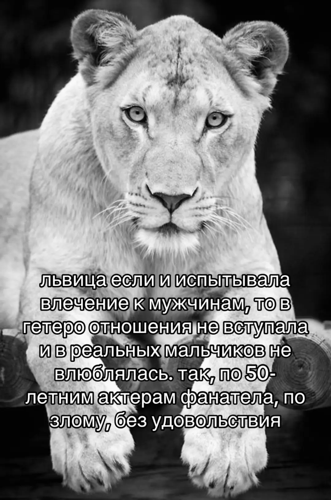 #щитпост #maddsmikkelsen #augustdiehl #fypage 