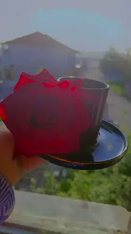 بَعضْ الأمُور جَمالُهَا أنْ تَكُون سَراً ؛ كَ دَعُوة بِصَلآتكْ لرُوحْ تَسكُن قَلبكْ..🌹❤♕