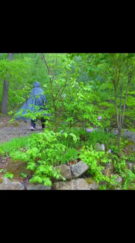 SOLO BEST CAMP IN HAVY RAIN ☔#survival #bushcraft #shelter #camping #camp #forest 