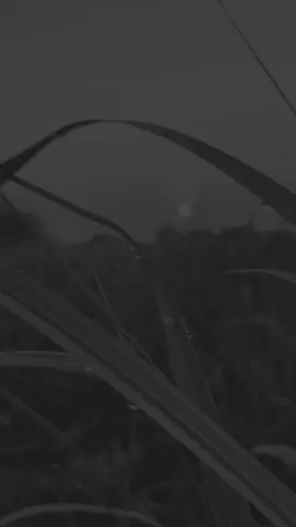 #CapCut hazrat ali ny farmaya🎀🌸🥀#foryou #foryoupage #islimic_video #unfrezzmyaccount #sudheerwrites @TikTok @TiktokPakistanOfficial 