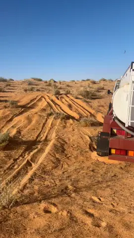 #النفود_الكبير #الشمال #الصيف 