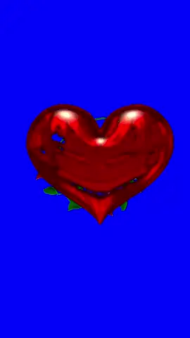 #❤️❤️❤️💫💫💫 #