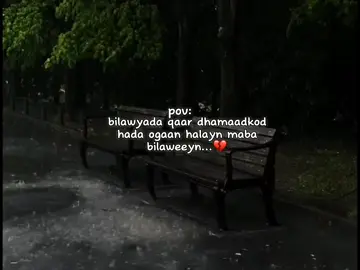 really 💔  #akhi_ahmett ##fyp #akhicaptain #foryoupage #qoraalo #qoraal 