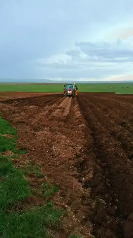 Devam altınoklar tarım. 