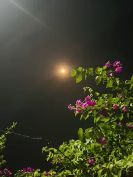 সব জিনিস জোরা সুন্দর, কিন্তু চাঁদ একাই কত সুন্দর 🌙🖤#unfreezemyacount #tiktokviral #avibaroi2007 #avibaroi3 #foryou @TikTok Bangladesh @TikTok 
