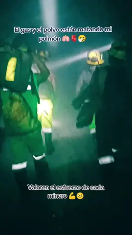 #mineros_del_perú #minero #minerosartesanales #mineros_trabajando #mineros #dejametulike❤ #reacciones #entrepatas #viralvideos 