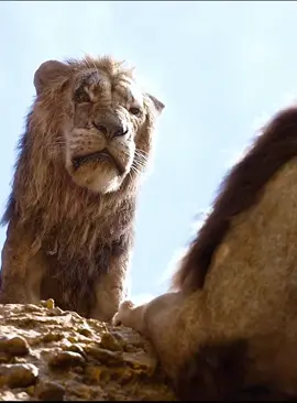 The scene of Scar betraying his brother Mufasa❤️‍🩹🖤 #liolion#disney #mufasa #scar #lionking #tiktok  #fy #fyp #fypage  #pppppppppppppppp  #yyyyyyyyyyyyyyyyyy 