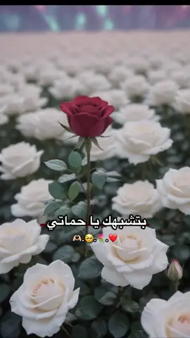 حماتي 🫶🏻🥺#A #مالي_خلق_احط_هاشتاقات #تصميم_فيديوهات🎶🎤🎬 #لايك__explore___ #فروحه🖤🌚 