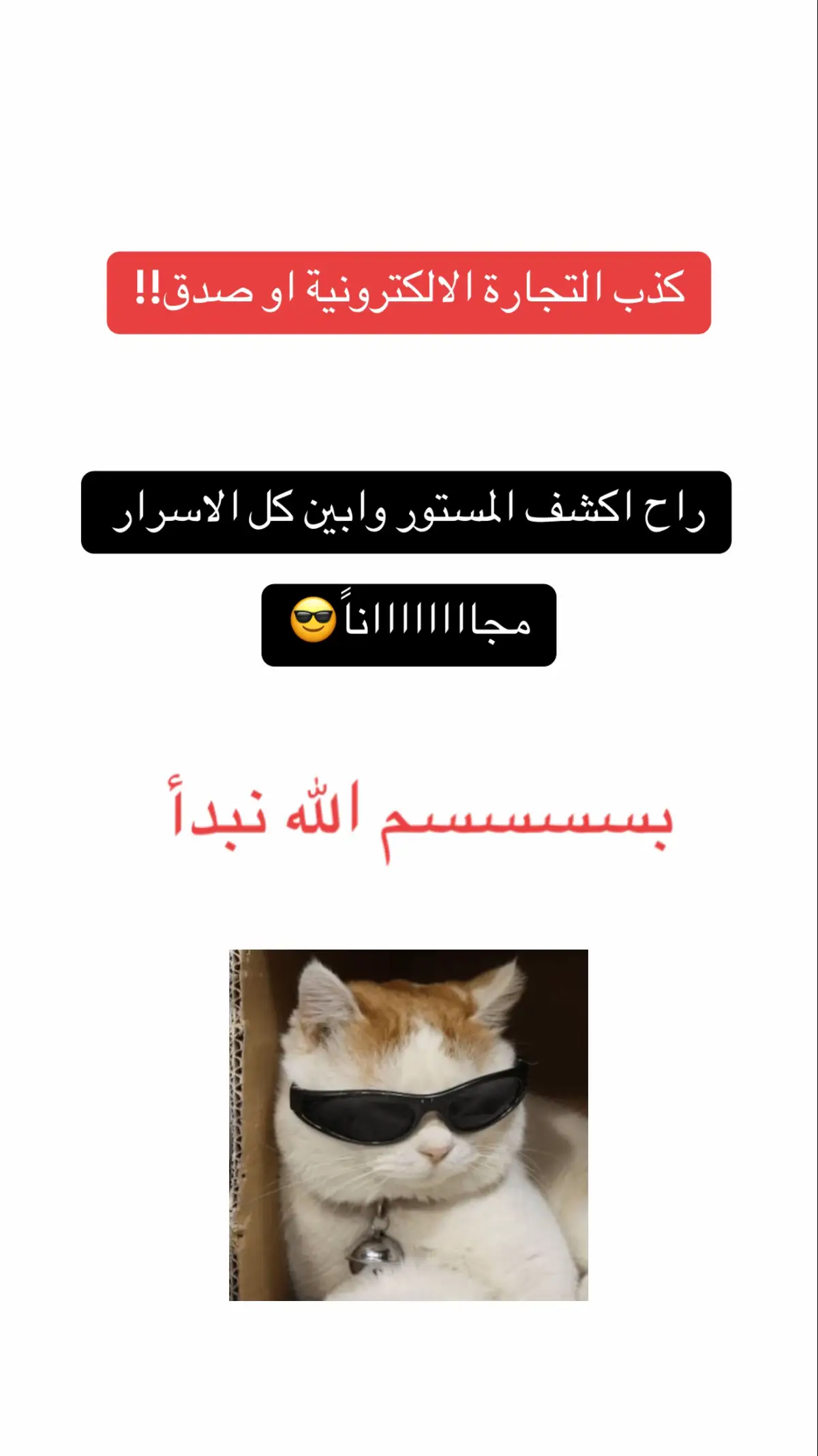بسم الله نبدأ تجربة #التجارة_الالكترونية بالتحديد  #المنتجات_الرقمية ونشوف وش يطلع معنا 🤷🏻‍♀️ #الداهيه_ساره  #اكسبلور #الشعب_الصيني_ماله_حل😂😂 #explore #foryou #foryoupage #fyp #viral 