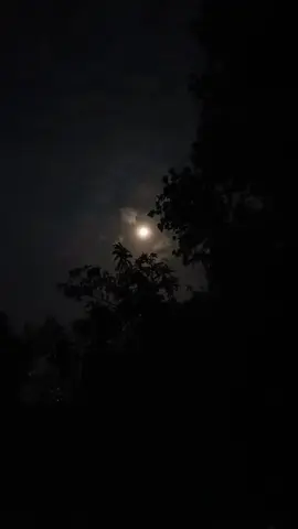 আমার তুমি টাও ঠিক ওই চাঁদের মতোই সুন্দর,, দেখলেই অশান্ত  মন শান্ত হয়ে যায়,, 🌙🌝🥰😍#foryou #foryoupage #trending #status #❤️ #Love #bdtiktokofficial #chad #imotionalvideo 