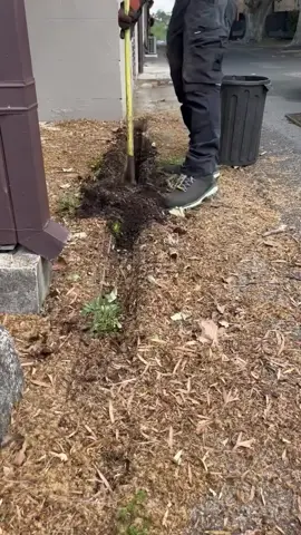 #cleaningasmr #uncloggingdrains #cuttinggrass #cleaninghouse #satisfying #asmrsleep #asmrsleeprelax #cleaninggarden #camping #tips #cleaningsatisfying #homecleaning #housecleaning #lawncare #mowing #mowingthelawn #lawnmowing 