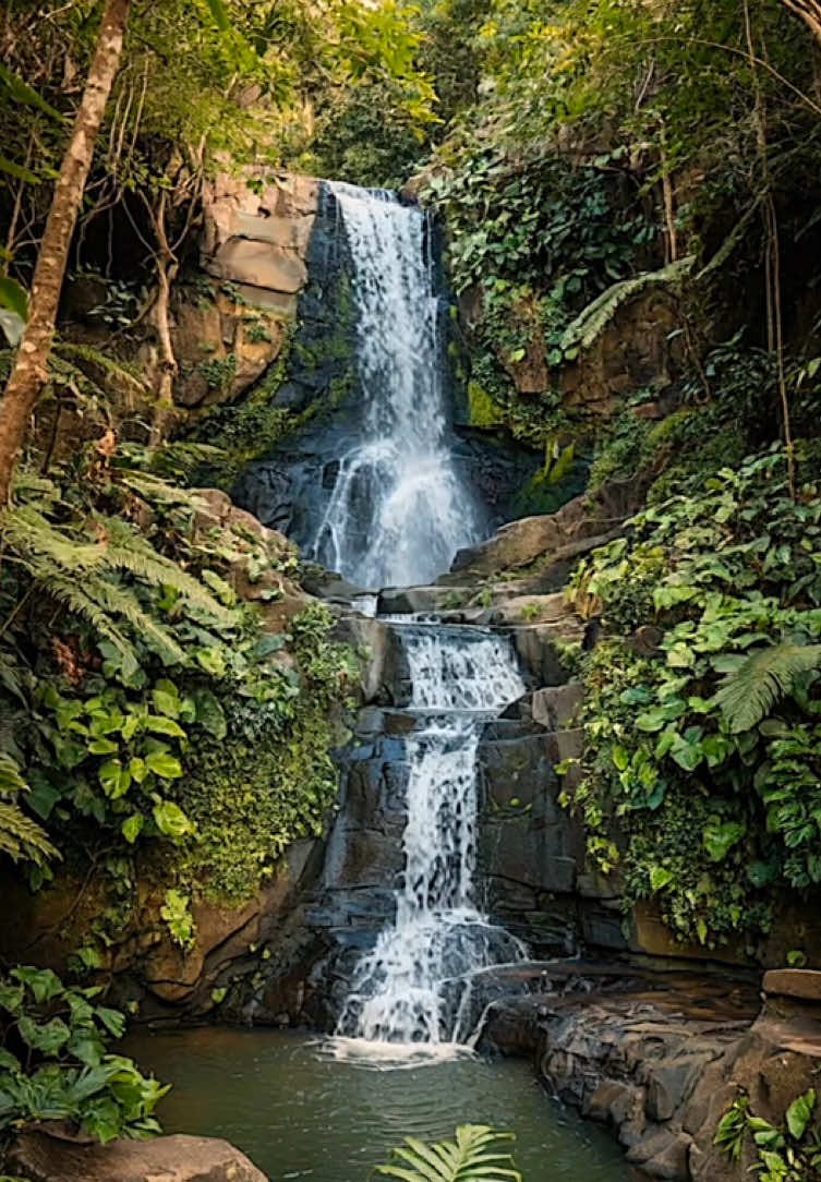 Relaxing waterfall with tropical nature sounds #fyp #foru #foruyou #beautiful #positivevibes #feelinggood #beautifuldestinations #mood #moody #aesthetics #aestheticvideos #relax #relaxing #relaxation