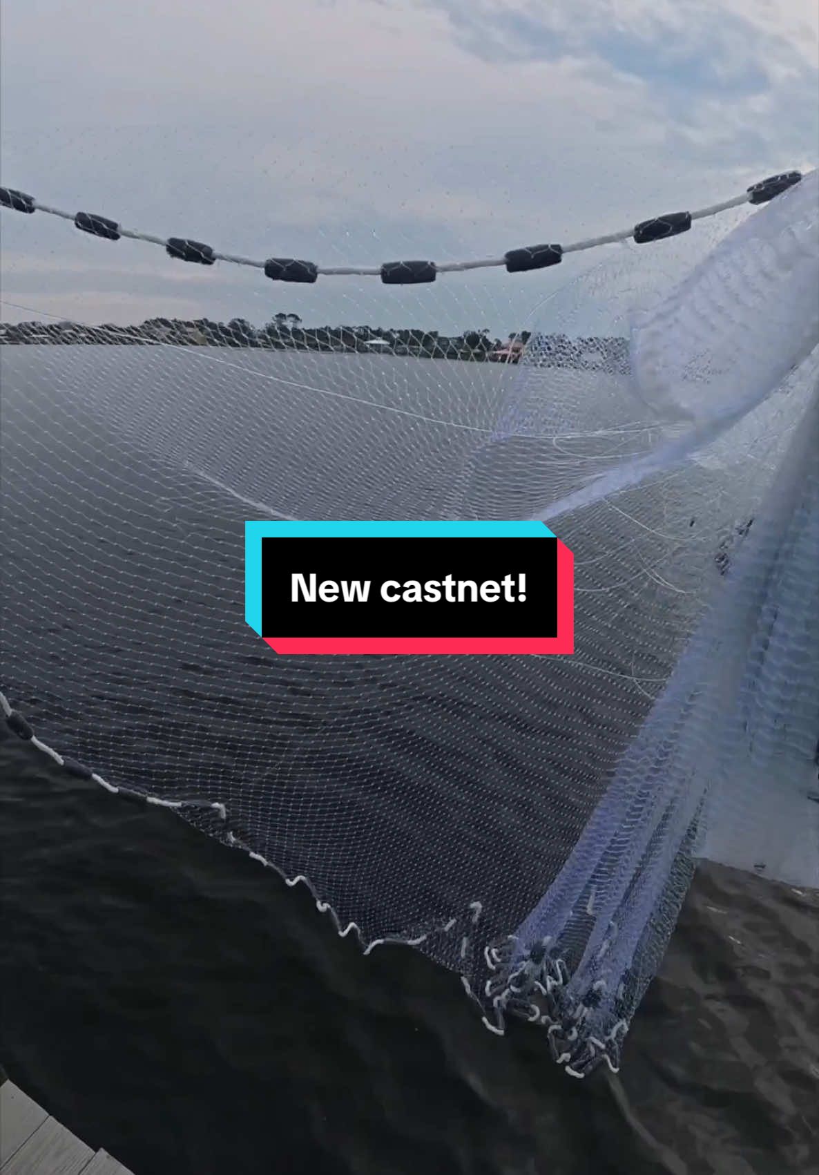Cast net shenanigans! #fishing #fishtok #fyp #fish #shorts #castnet #Outdoors #mullet #fishon #fishingtiktoks #fishingtime #fishingtrip #baitfish 