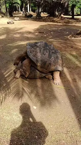 Oui, tu t'es perdu sur tiktok. #fyp #pourtoii #humour 