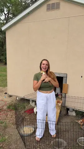 Hi I’m Jazmyn 🥰 #fyp #foryoupage #chickensoftiktok #herefortherent #babychickens #horses #animalsoftiktok #husbandandwife 