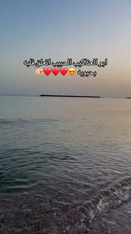 ابو العناكيب الحبيب اتعلق قلبه بحبوبه💋🫶🏻🫶🏻 #fyp #foryoupage #foruyou 