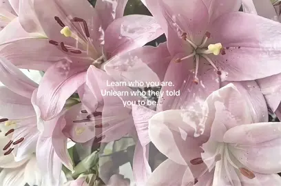 #fyp #quoteoftheday #quotesaesthetic #feelings #fyppp #thoughts #peace #trustthejourney #peaceofmind #selflovequotes #ily #motivation #recommendations #beyourself #keepgoing #innerself #loveyou #loveyourself 