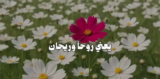 جمال الاخت #الشيخ_علي_المياحي #اكسبلورexplore 