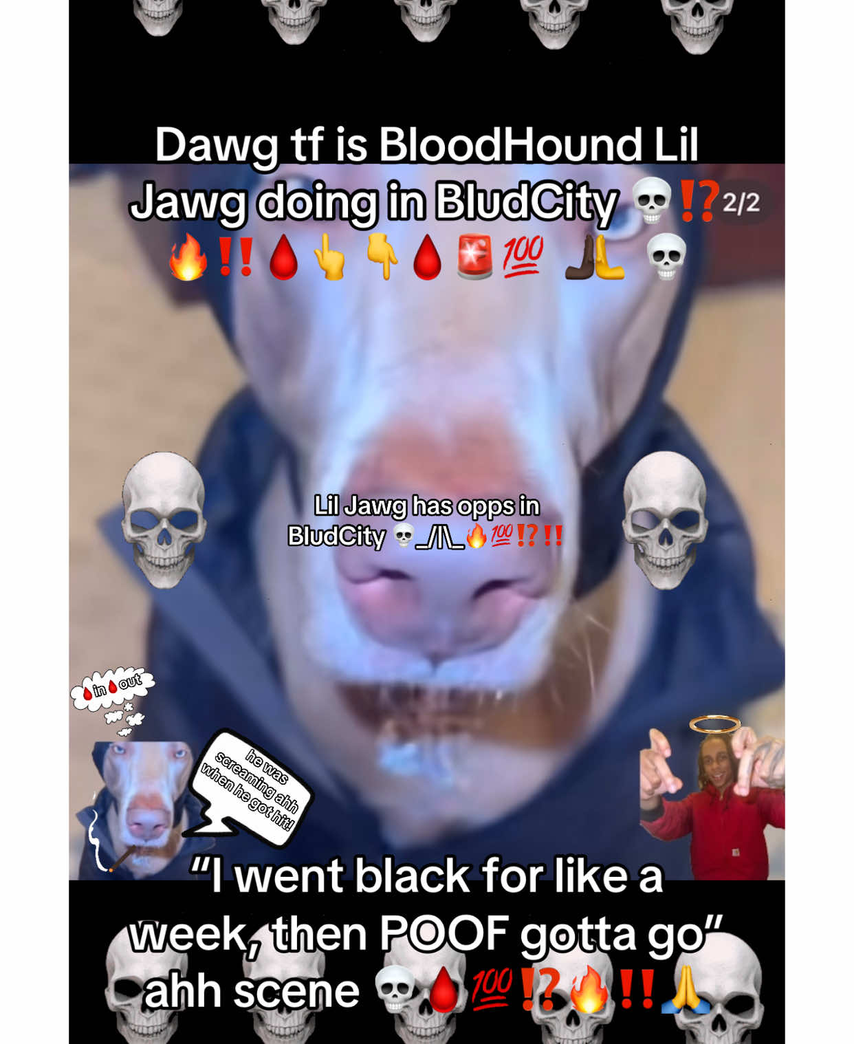 BloodHound Lil Jawg has 12 bodies 💀🙏🔥🩸‼️💯 #fyp #bills #blud #viralvideo #trending #billcollector #finlawg #xyzbca #series 