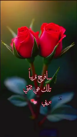 سأفرح قريباً تلك هي ثقتي بربي 🥀 ٕ ٕ #الحمدلله_دائماً_وابداً  #يارب_فوضت_امري_اليك  #احمدك_واشكرك_ياالله  #يارب #ياالله #ياالله  #typ  #🥀 #❤wz   