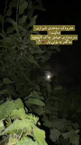 هەروەک سەعدی شیرازی دەڵێت: دەردەداری عیشق چاک نابێتەوە مەگەر بە بۆنی یار.🤎💍#Ashqm A💍E