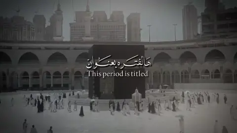 هالفتره بعنوان ✨، #313_ej #CapCut 