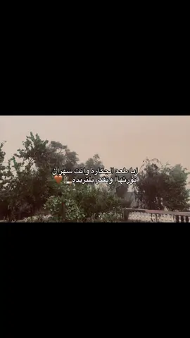 ايا طعم الجكاره وانت سهراانن تورثهاا وتفكر بلتريده🚬🤎 #تصويري #عدستي #شعر #عبارات #عباراتكم_الفخمه📿📌 #شعر_عراقي #تصويري_احترافي_الاجواء👌🏻🕊😴 #تصويري_احترافي #تصاميم_فيديوهات🎵🎤🎬 #شاشه_سوداء #شعر_شعبي_عراقي #اجمل_عبارة_راح_ثبتها📌 #fyp #viral #tiktok #الشعب_الصيني_ماله_حل😂😂 #yyyyyyyyyyyyyyyyyy 