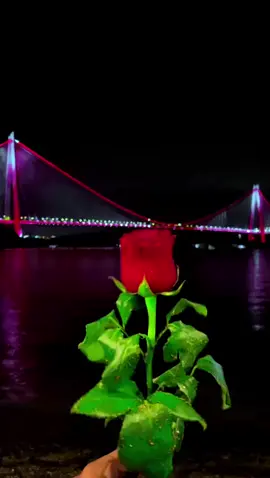 🥀🥲#arapcaanamlısözler #💔🥀🖤🥀😔🥀🥀🕊⚘ 