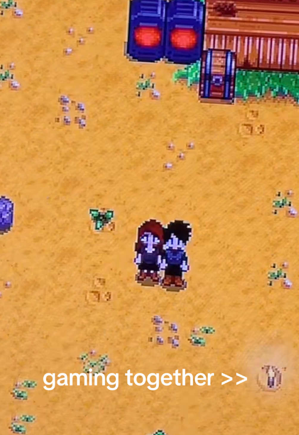 Wehe du vergisst noch einmal meine Pastinaken zu gießen @Kris Grippo 😠😠 #stardew #stardewvalley #gaming #gamer #couple #egirl 