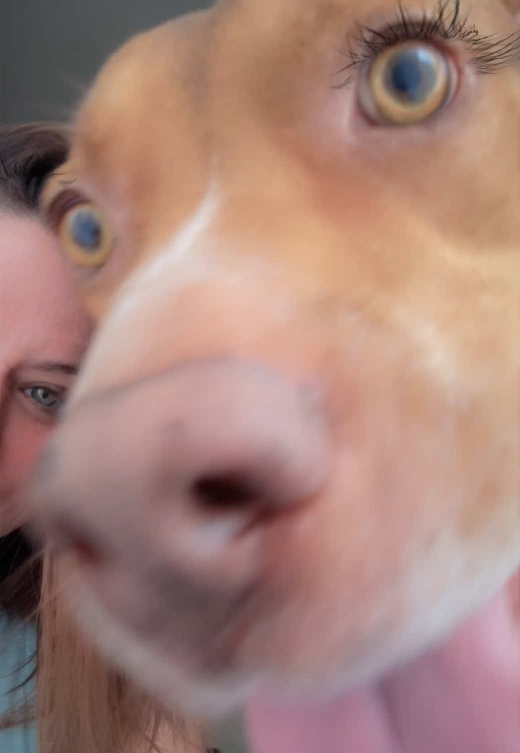 My ❤️ Sugar Plum❤️ 