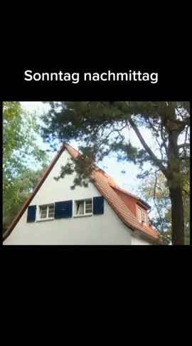 #funnymoments #witzig #lustigeclips #unterhaltung #funnyvideo #lustig #funny #witzigevideos #funnyvideos 