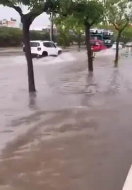 Flooding in Port d'Alcudia of Mallorca, Spain 🇪🇦 (5-11-2025) #judgementnews #greatpurification #halalhawah 
