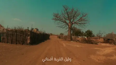 حنيني إليك وليل الغربة أضناني…. #viralreelsシ #viralvideochallenge #محمودعبدالعزيز #السودان🇸🇩  #الشعب_الصيني_ماله_حل😂😂  #مشاهير_تيك_توك_مشاهير_العرب 