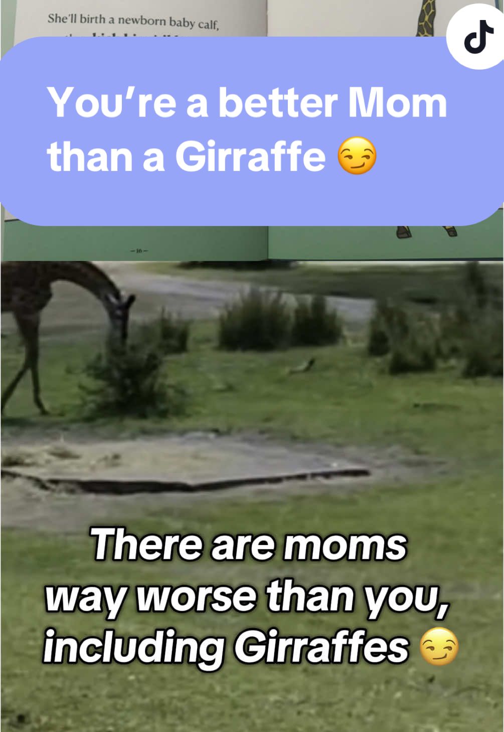 #HappyMothersDay #ThereAreMomsWayWorseThanYou #girraffe 