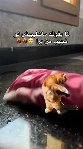 #MemeCut #MemeCut #Meme #MemeCut  لما يقولك ماتطيبيش تو نجيب من برا 😭💃💃  #الشعب_الصيني_ماله_حل😂😂 #ترند #ترند_تيك_توك #الشعب_الصيني_ماله_حل 