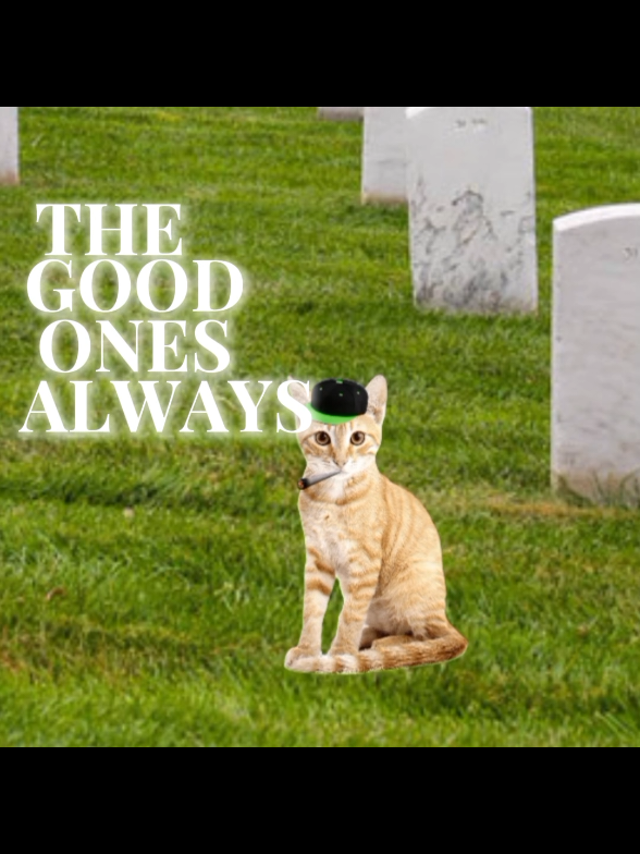 my twenty first reason #fyp #fop #edit #wifiskeleton #rip 