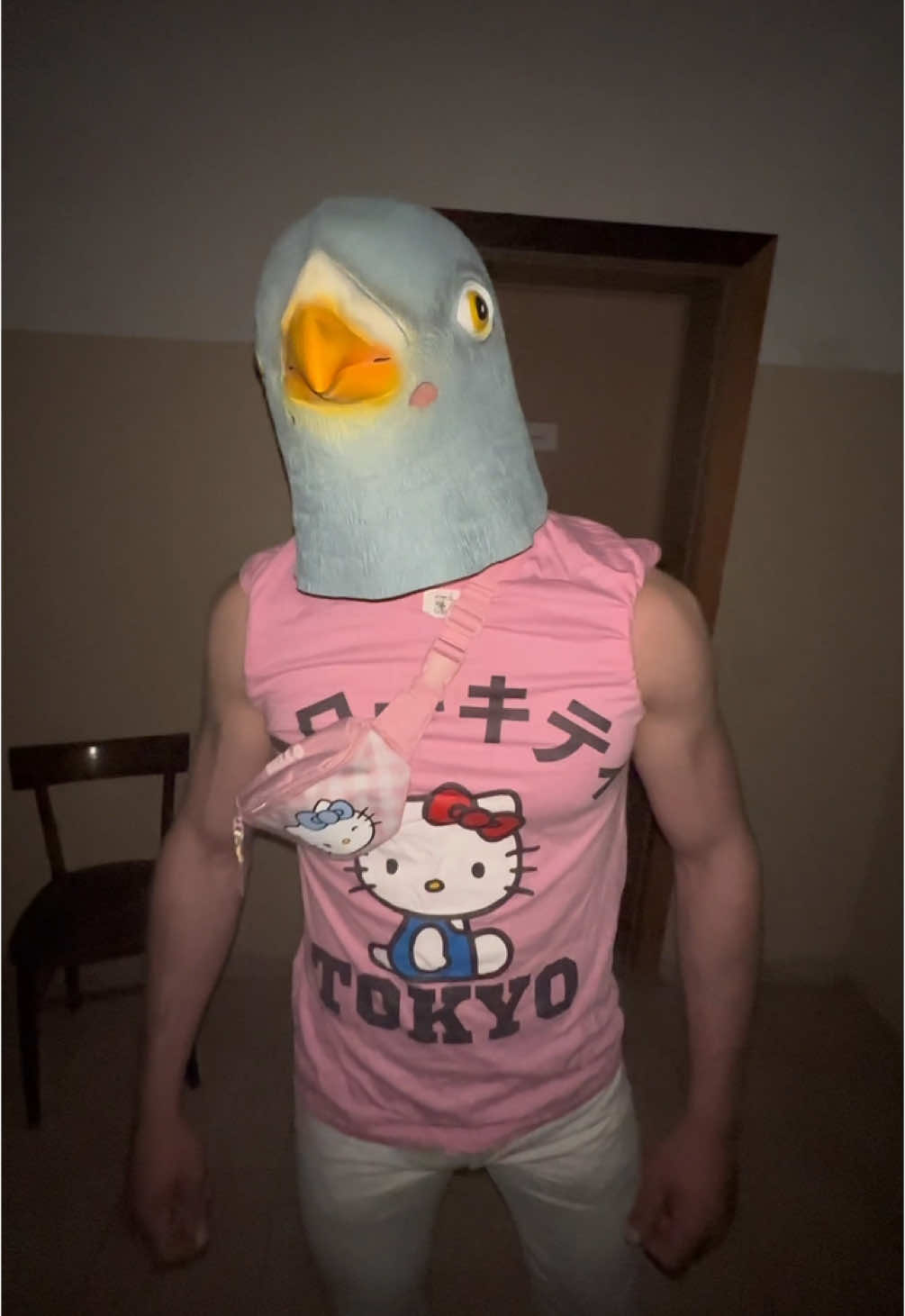 MR.PIGEON😱🐦👑HELLO KYTTI💕IS UNTOUCHABLE👊🏻😨🙏🏻💨#foryou #fypシ゚viral #fyp #viral 