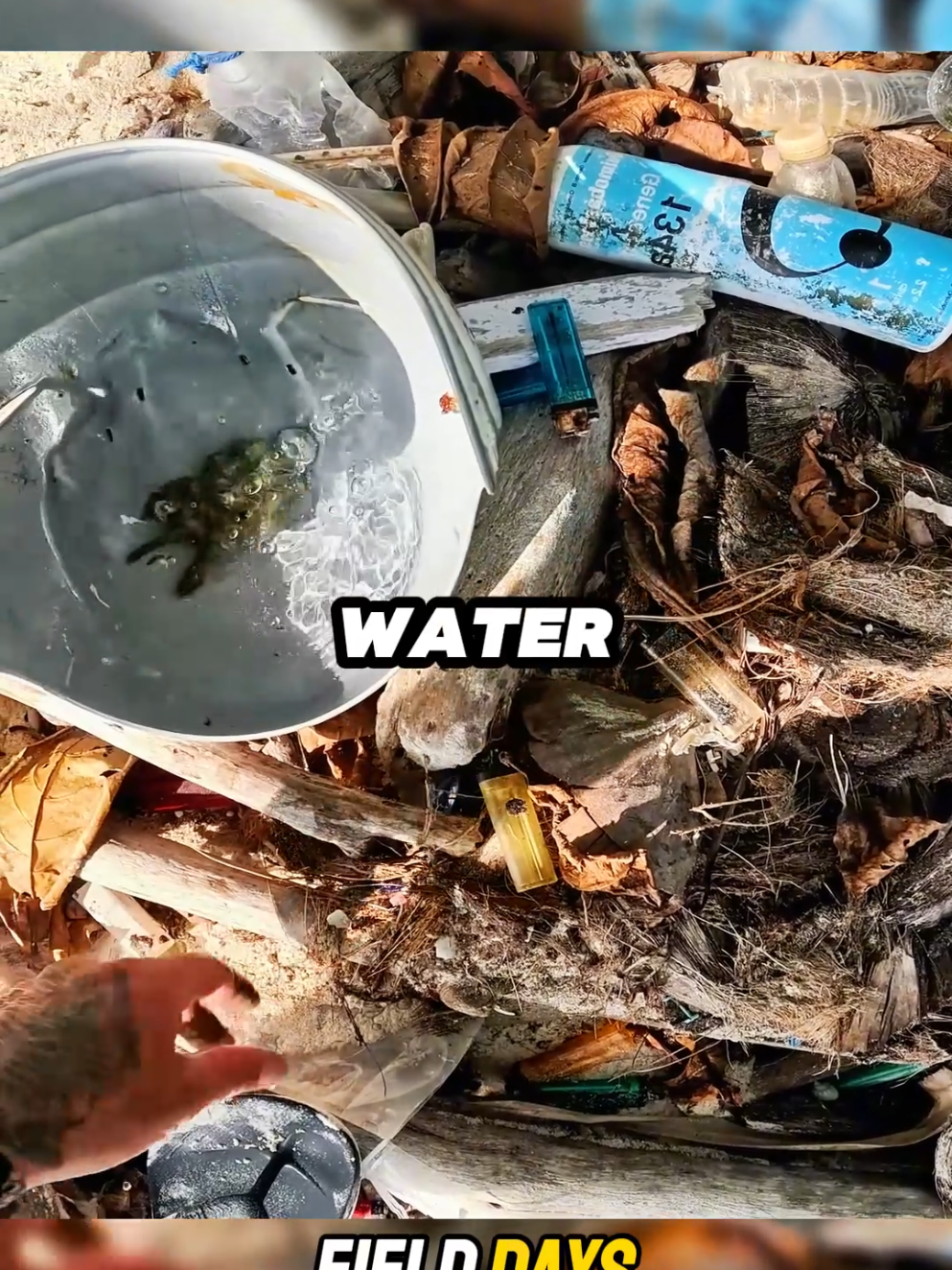 3 days solo survival on remote mosquito island P15 #camping #catchandcook #survival #Outdoors #fishing #fielddays #fyp 