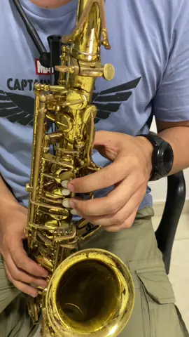 “Jovinita” sax 🎷 #new #reels #videos #tiktok #saxophone #musica #merengue #followers #saxplayer #music #altosax 