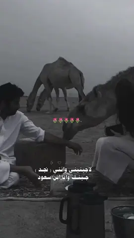 #CapCut #CapCut #عمر_بن_هذال #fypシ #ترند_تيك_توك #اكسبلور_تيك_توك 