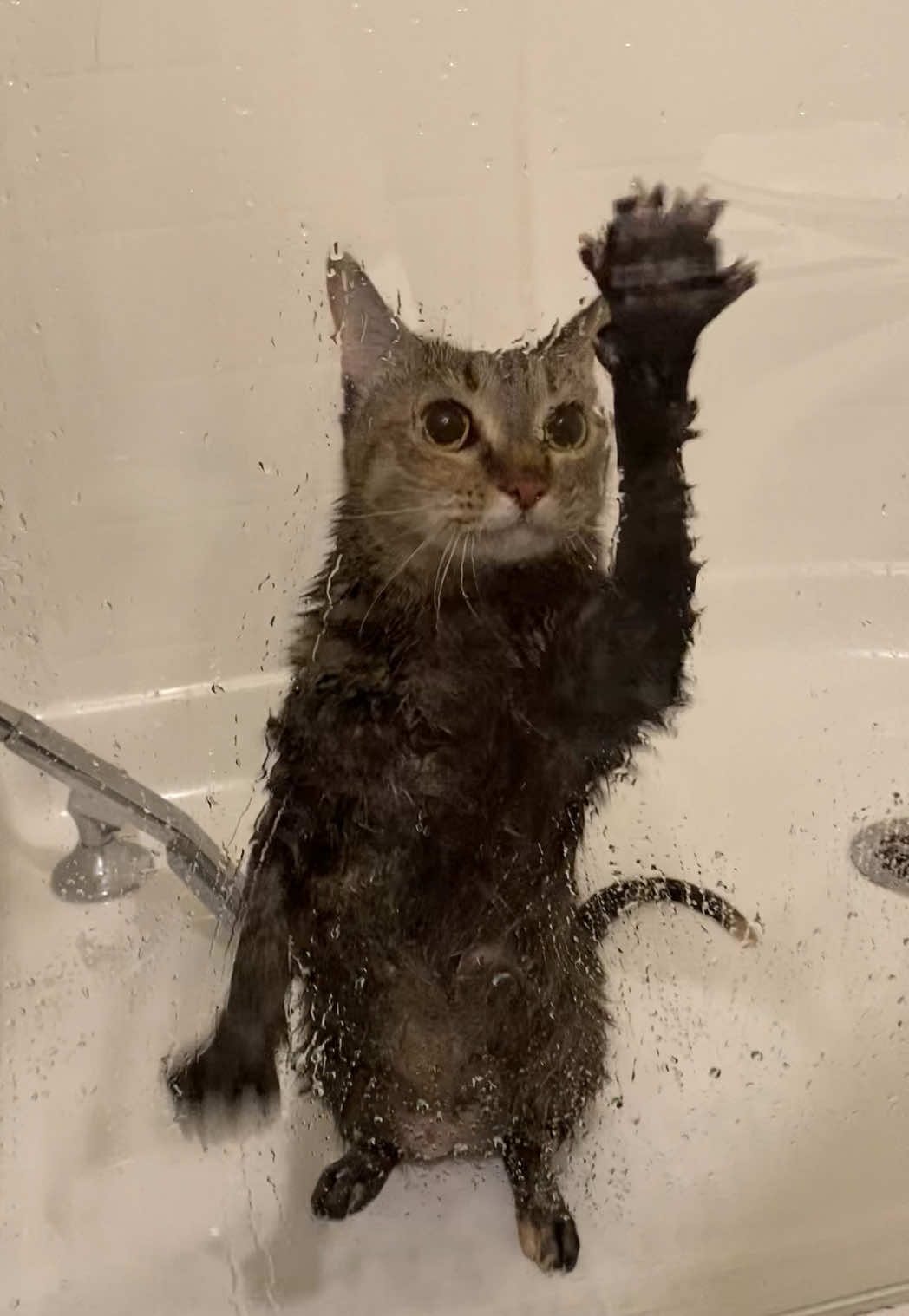 I took a shower and I’m a clean bitch 🚿 🧼 