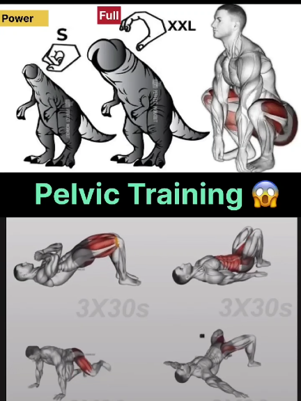 Pelvic Training and workout At Home #pelvicfloorexercises #Fitness #kegelexercises 