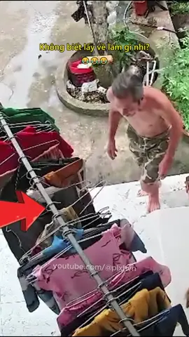 Không biết ông lấy về làm gì nhỉ?😂 #chuyenla #tromcap #bienthai #docla #doclavietnam #plxhvn #phapluatxahoi