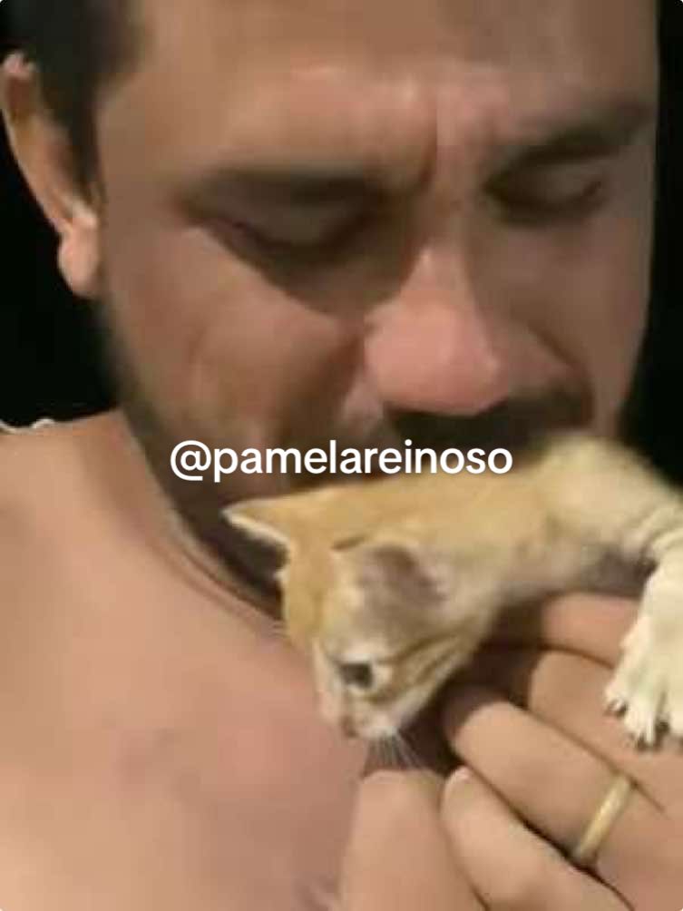 Quando seu marido vai buscar pastel e volta com um gato 🤭😂 é muita informação nesse vídeo, o filhote que ele já colocou nome no caminho, a moto suja de barro por conta da chuva, a camiseta de guerra que eu tinha jogado no lixo e ele resgatou 😂 meu amor todinho ❤️ @fernandohenriqu2425  #marido #gatos #gatosresgatados #adocaoconsciente #gatolaranja #casaltiktok #melhormaridodomundo 