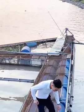 #cố_gắng 