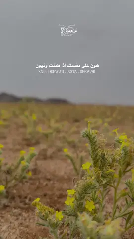 #سالم_العقاب #قصائد #قصيدة  #كشتات  #درون #تصوير_جوي #حكمة_أعجبتني  #نيوم_تبوك #عذب_القصيد #عذب_الكلام #تصويري_احترافي_الاجواء👌🏻🕊😴  #ليالي_الشتاء #البرد #المربعانيه #الراحة_النفسيه___ارح_سمعك #احساس #خواطر_من_القلب  من #ماشاء_الله  #تبارك_الله #خواطر_لها_معنى  #مُلْهمة  #شبة_نار #اكسبلورررررررررررررر #نيوم_تبوك_الشمال #بجده #مكشات_رحلات_سجات_بر  #مساءالخير🌷 #الوسم #امطار_تبوك #تبوك_الورد  #نبات #جبال #درر #طبيعة  #غروب 